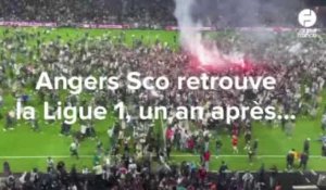 VIDÉO. Angers Sco de retour en Ligue 1 : les réactions d'Himad Abdelli et Pierrick Capelle
