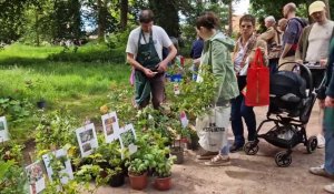 À Rouen, l'édition 2024 du festival Graines de jardin s'intéresse aux plantes extraordinaires
