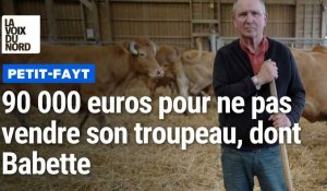 Eleveur à Petit-Fayt, il lui faut plus de 90 000 euros pour ne pas vendre son troupeau dont Babette