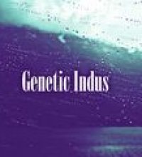 Genetic Indus