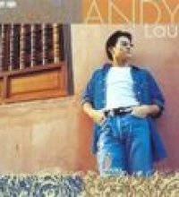 The Best Of Andy Lau
