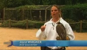 Fauconnerie du Puy du Fou : Le Bal des oiseaux fantômes