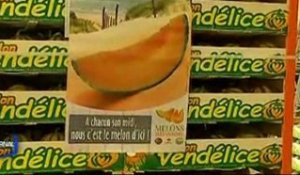 Trop de melons en Vendée
