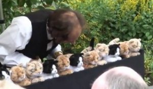 Un "orgue à chats" pour le prince Charles