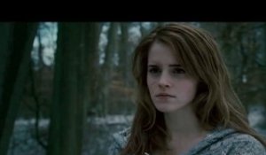 Harry Potter et les reliques de la mort - Spot TV #8 [VO|HD]