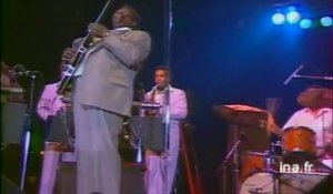 Nancy jazz Pulsations BB King + Miles Davis + Memphis Slim