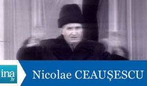 Chute et fuite de Nicolae Ceaușescu - Archive INA