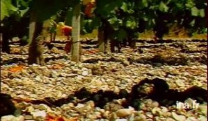 Nouvelle appellation viticole à Pessac-Léognan, Gironde
