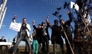 Roms : la réponse d'un groupe de rock roumain à Sarkozy