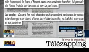 Télézapping  : "Patrick Plagiat d'Arvor"