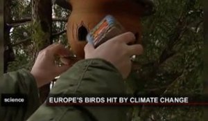 Le réchauffement climatique et les oiseaux migrateurs