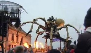 Calaisis TV: Une araignée géante investit le Channel