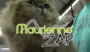 Maurienne Zap N°32