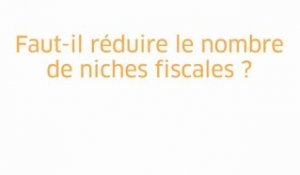 Arthuis - Rebsamen : réduire les niches fiscales ?