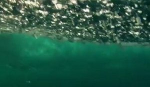 Benjamin Sanchis - I surf because short film