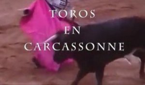 Toros en Carcassonne ! La nouvelle émission de Tvcarcassonne pour vous faire vivre et revivre les jours de corrida de la Feria :