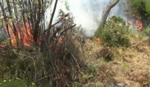 Incendie à La Réunion : les renforts attendus mardi
