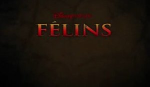 Félins - Bande-Annonce / Trailer [VF|HD]