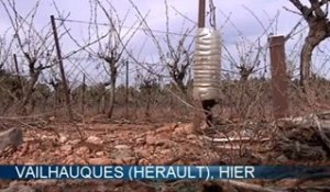 La sécheresse provoque déjà des incendies dans le Sud de la France