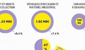 L'infographie : record de ventes aux enchères en France