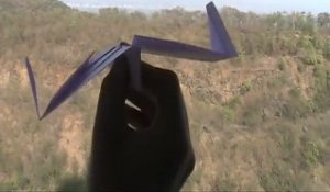 Avion en papier capturé en plein vol par un aigle