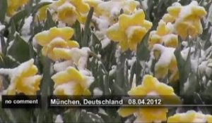 Neige de printemps à Munich - no comment
