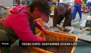 Yeosu 2012 : les océans en Exposition internationale
