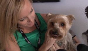 Le chien de Poelvoorde reçoit un "Palm Dog" à Cannes