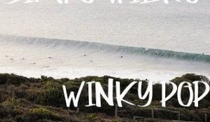 Etnies - Surf Winky Pop Goes Green