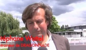 Stéphane Wattel et Dragonnade