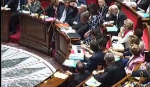 Cécile Duflot huée par les députés UMP