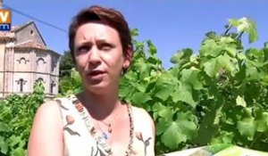 L’oenotourisme, des vacances idéales pour les amateurs de vin