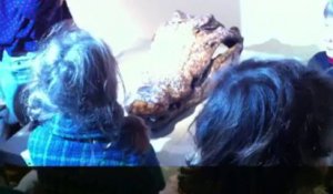 Le grand atelier: le Mac's fête ses 10 ans avec une expo pour petits et grands : Une tête de dragon (3/3)