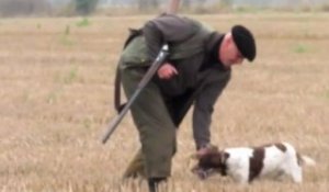 Coulommiers : une journée avec les chasseurs