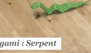 Origami : Comment faire un serpent en papier ? - HD