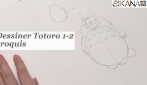 Manga : Dessiner Totoro 1-2 - La base - HD