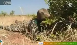 L'entraînement surréaliste de l'armée Malienne