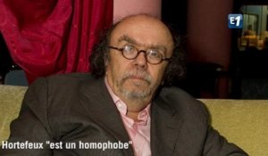 Ribes : Hortefeux "est un homophobe"