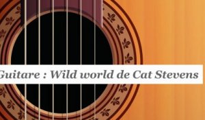 Cours guitare : jouer Wild world de Cat Stevens - HD