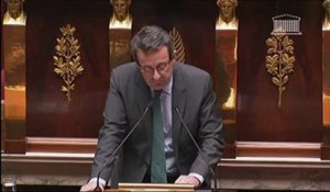 Vote du mariage pour tous: Jean-Christophe Fromantin (UDI)