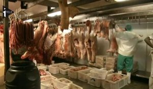 Afrique du Sud : de la viande d'âne dans les assiettes