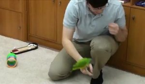 Les incroyables talents d'un perroquet