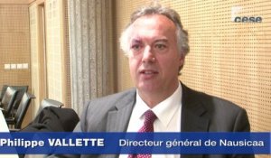 Interview de Philippe Vallette - cese