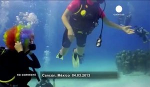 Un harlem shake sous-marin au Mexique - no comment