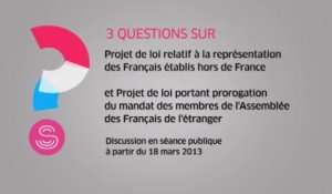 [Question sur] Projets de loi pour réformer la représentation politique des Français de l'étranger