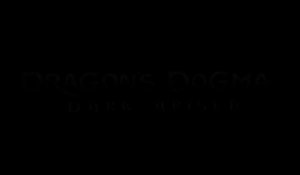 Dragon's Dogma Dark Arisen - La classe de Paladin (Mystic Knight)