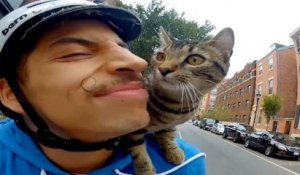 Cat Bike Guy - Philadelphia, PA - 2013