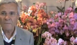 4ème exposition orchidées et chocolat  : Philippe Lecoufle est à La Capelle !