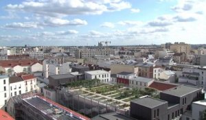 Nature en ville : les jardins du béton, Paris 20ème jardins partagés d'insertion