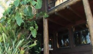 Vidéo : une maison de robinson sur l'île de Catimbau dans la baie de Paraty